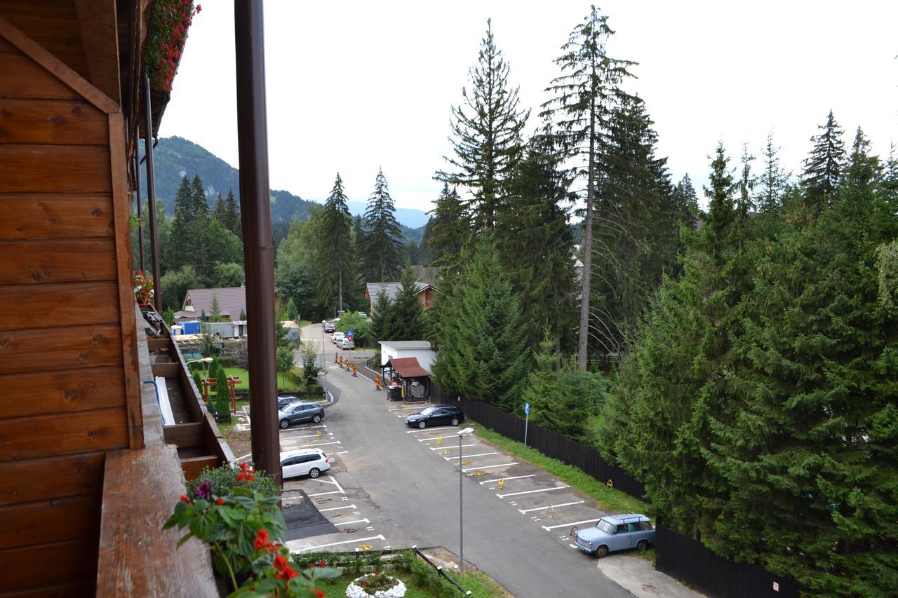 Studio Alex Poiana Brasov Exterior foto